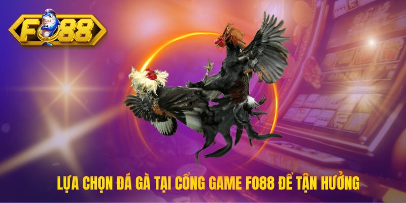 Lựa chọn đá gà tại cổng game Fo88 để tận hưởng trận đấu kịch tính nhất